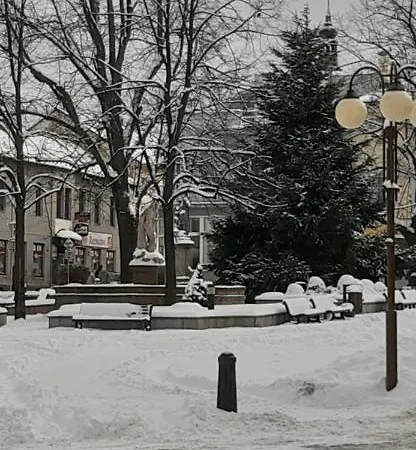Privatunterkunft Lovecky Na Namesti Ve Frenstate Pod Radhostem *